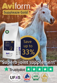 Aviform Advert