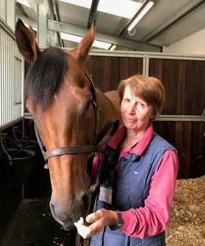 Carol Clarkson Vet Administrator, BHA