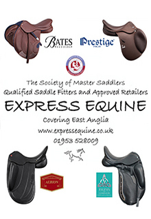 Express Equine Advert